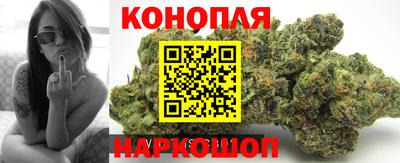 гидра Ливны
